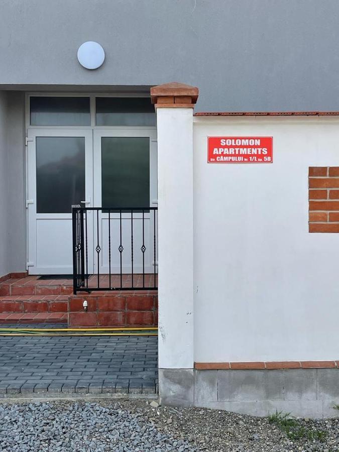Solomon Apartments Ap 2 Sîngeorgiu de Mureş Exteriör bild